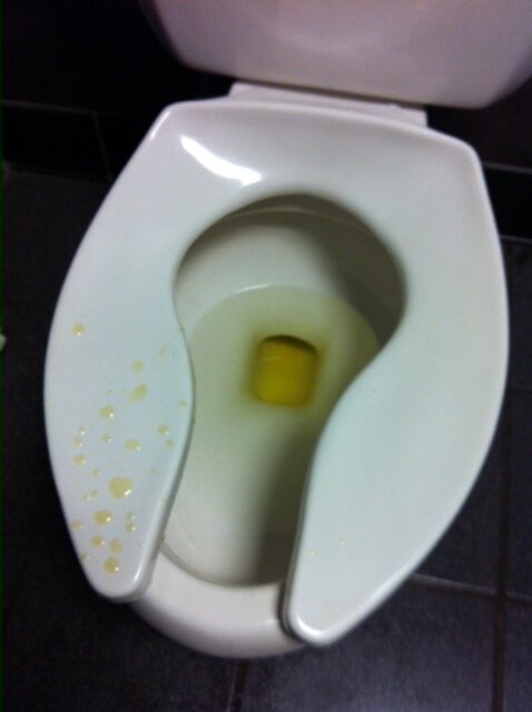IMG 3549