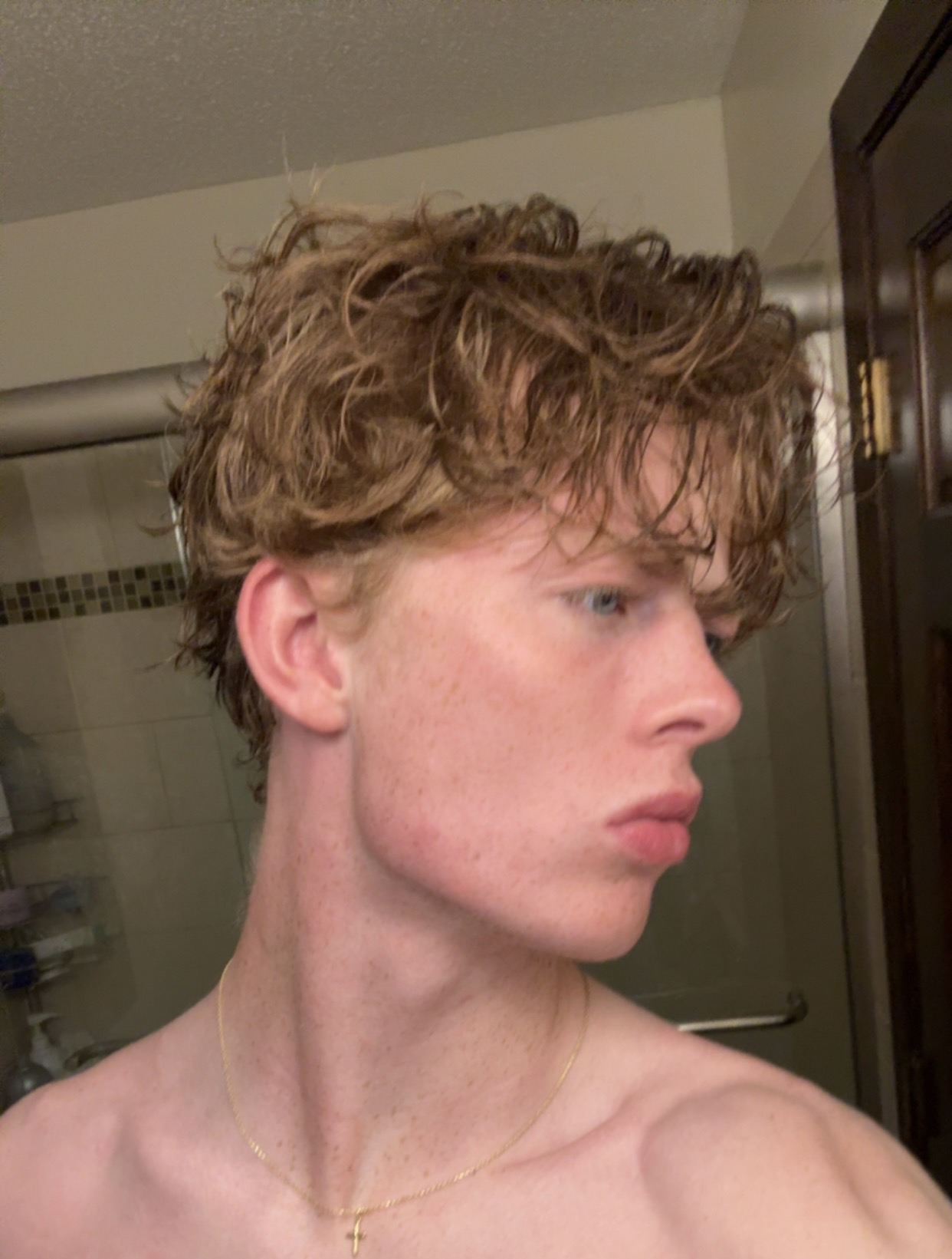IMG 0937