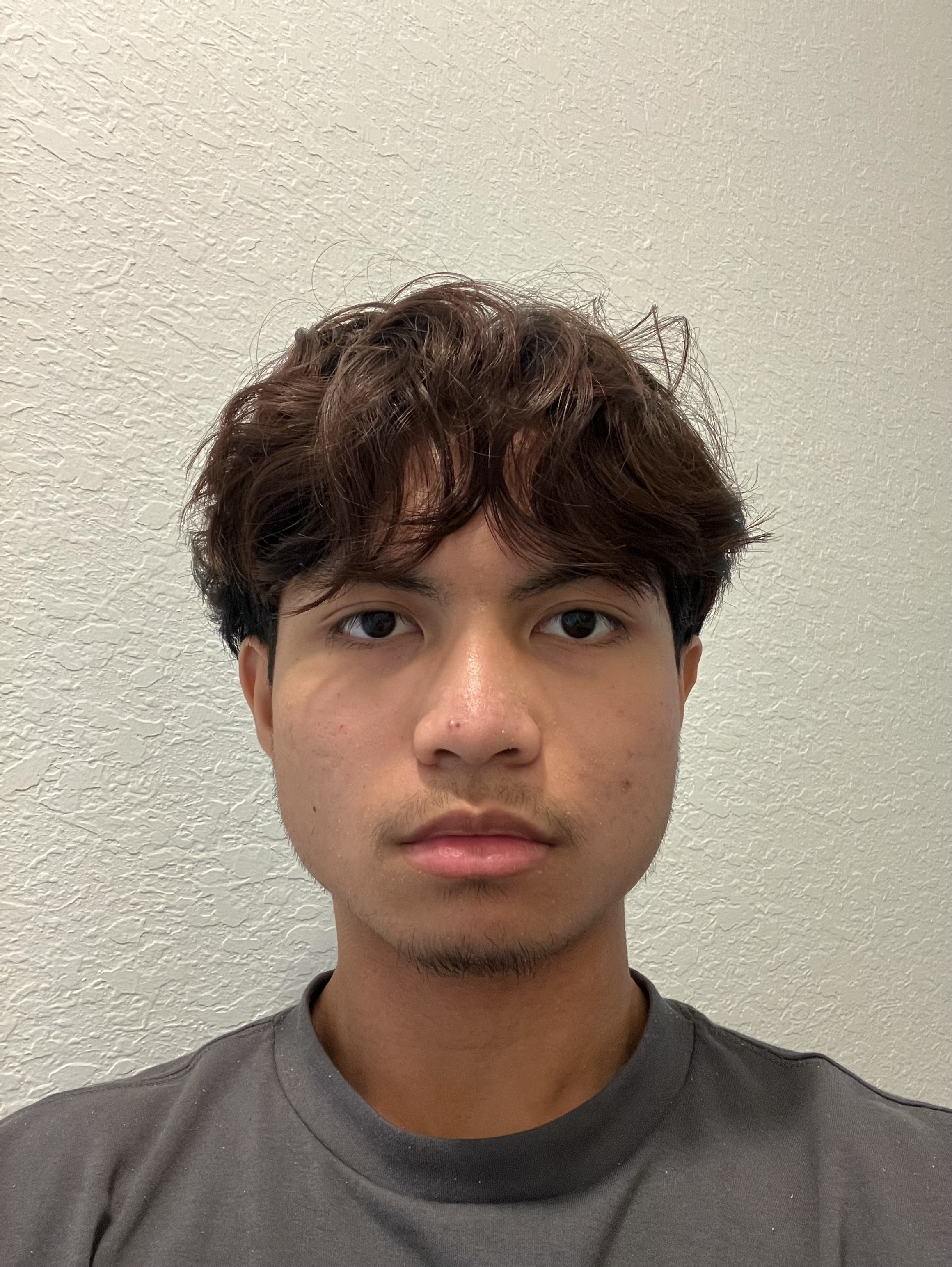 IMG 2553