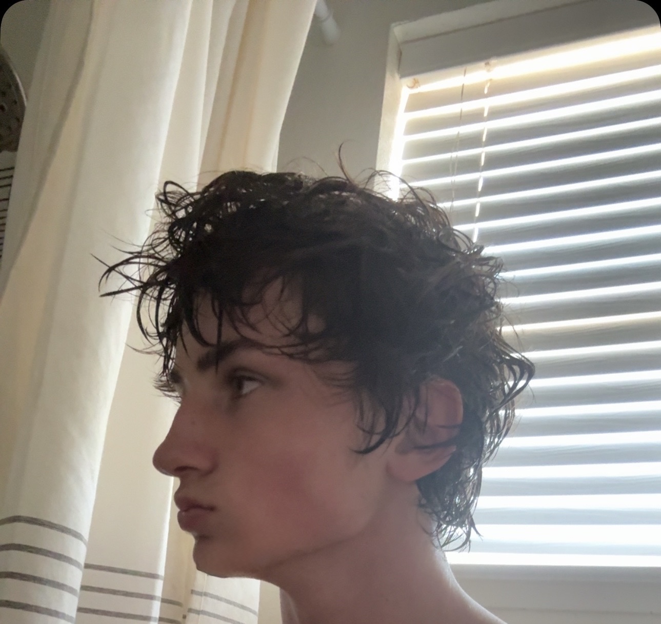 IMG 1014