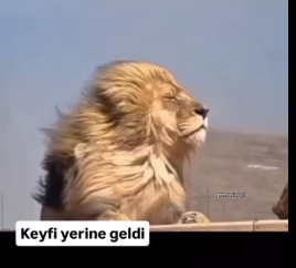 1752102776895