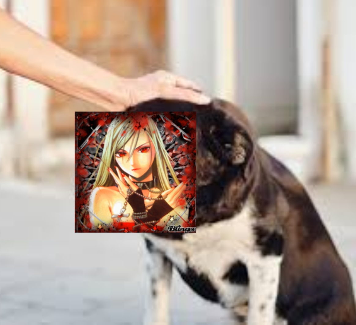 Untitled359 20250710083942