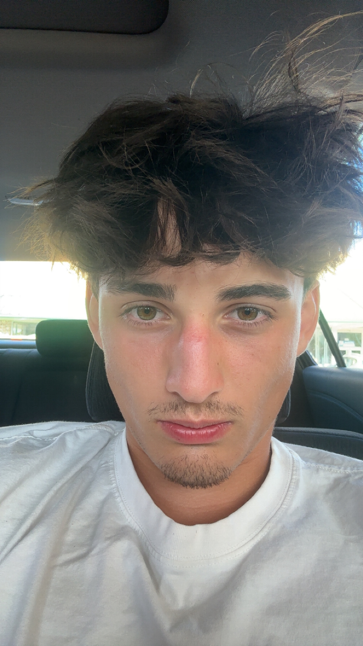 IMG 2536