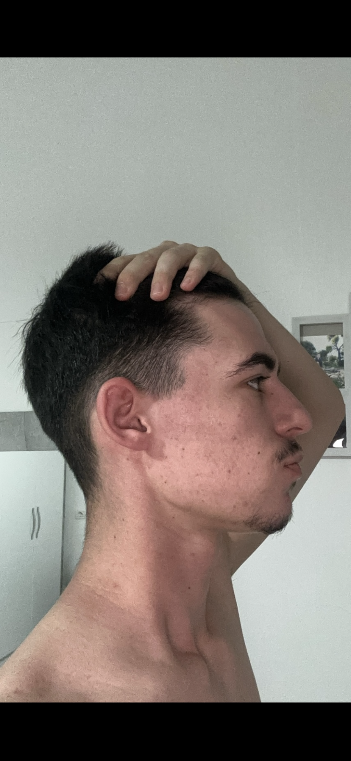 IMG 1249