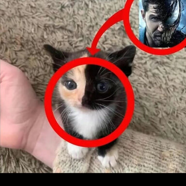 1752250644667