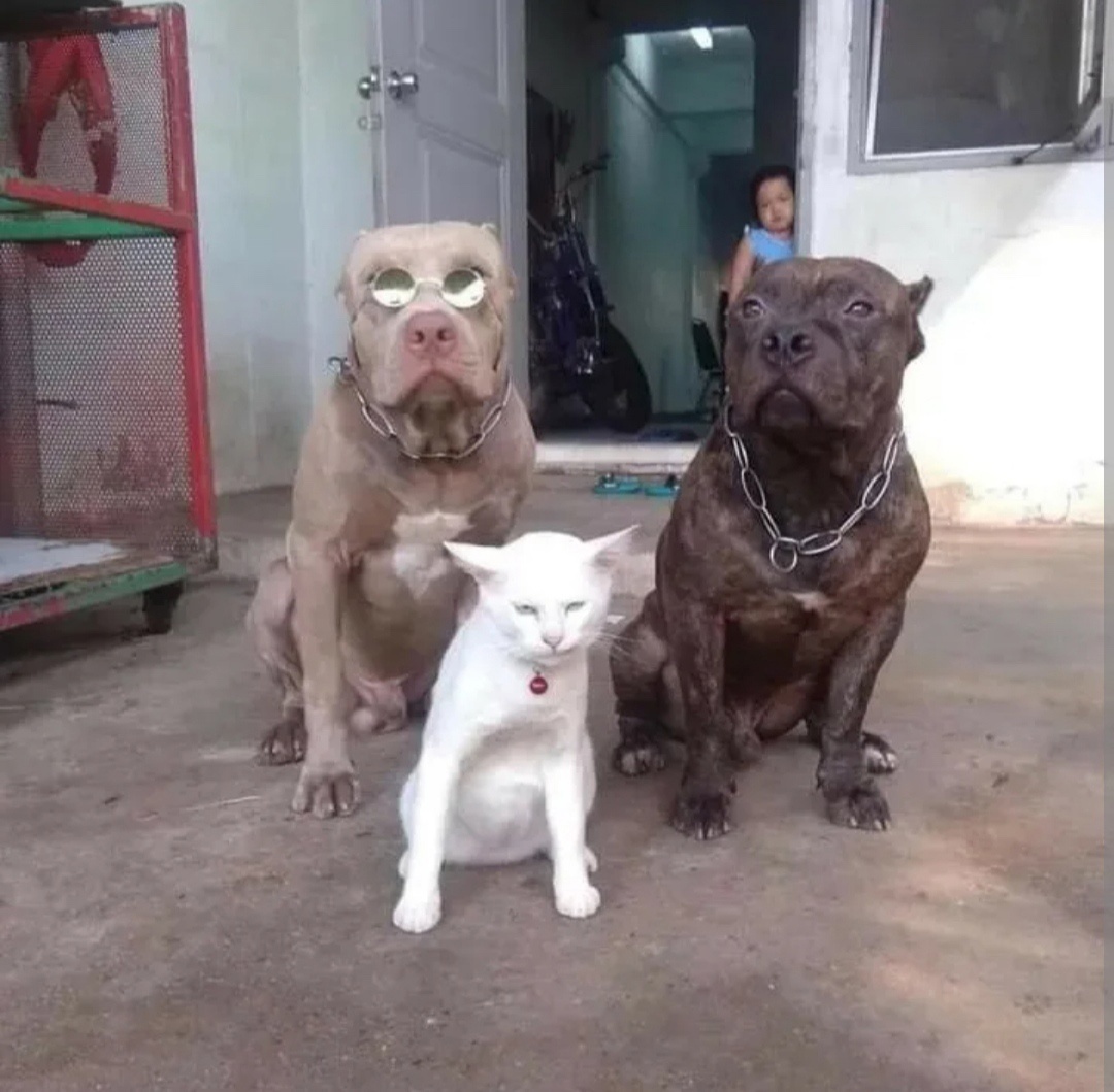 BmN3MSUaQso