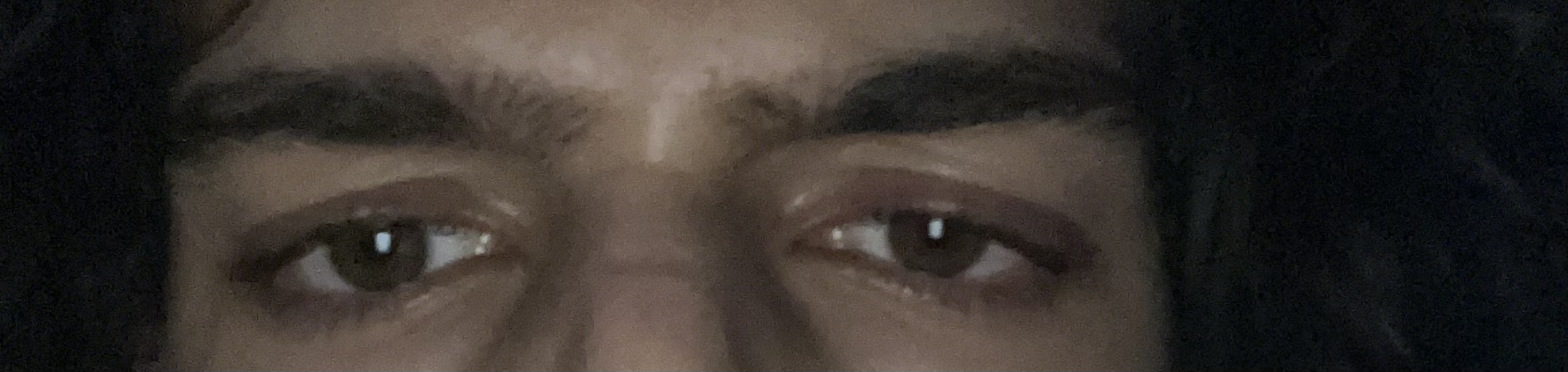 IMG 9614