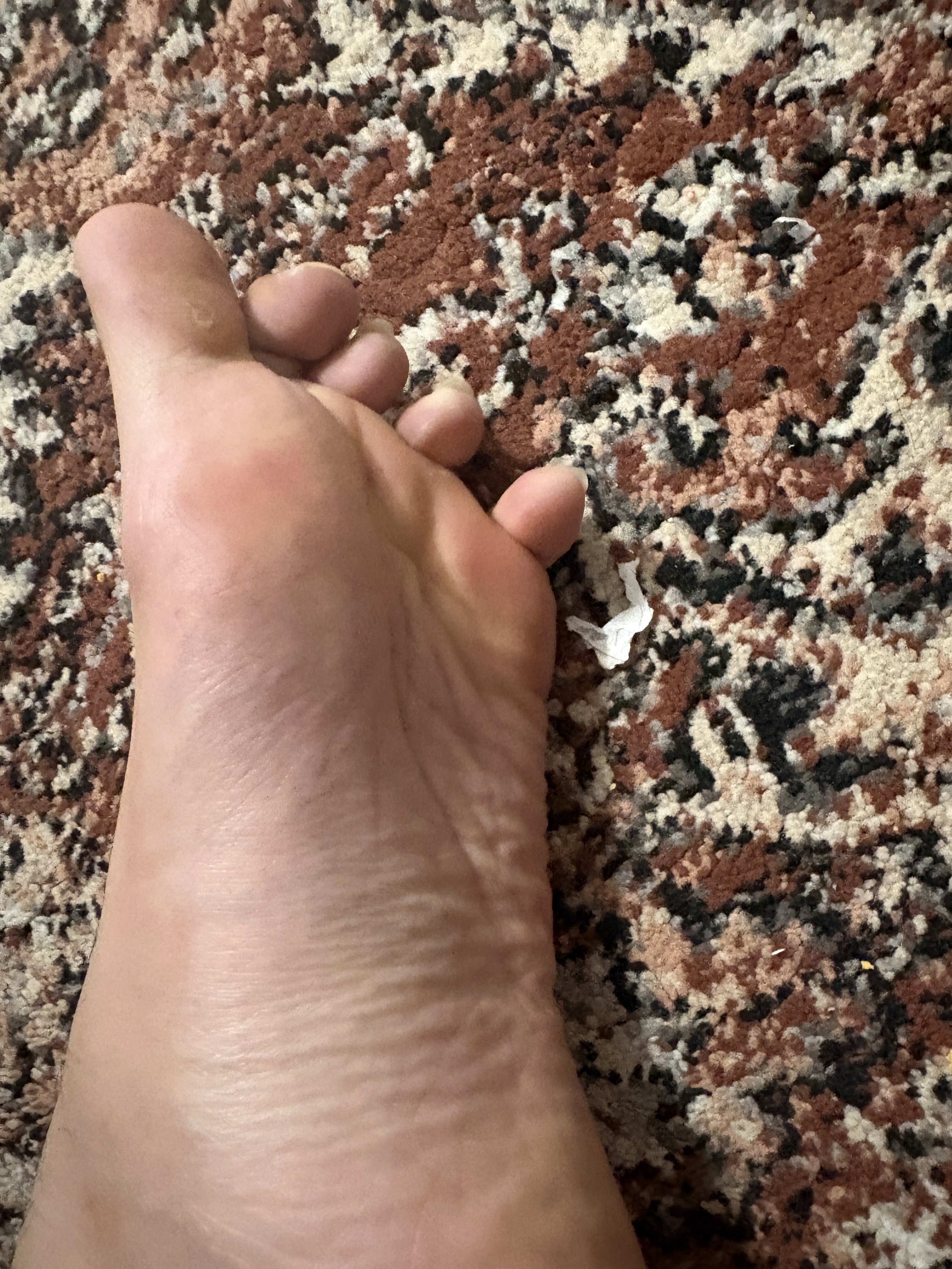 IMG 0769
