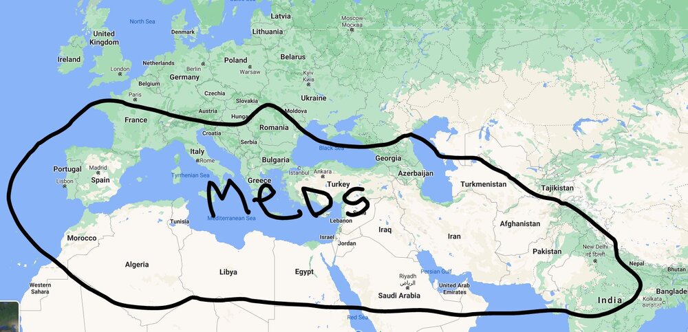 1000014113