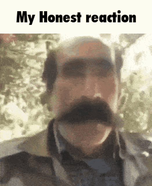 My honest reaction my honest reaction meme