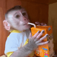 GIF image