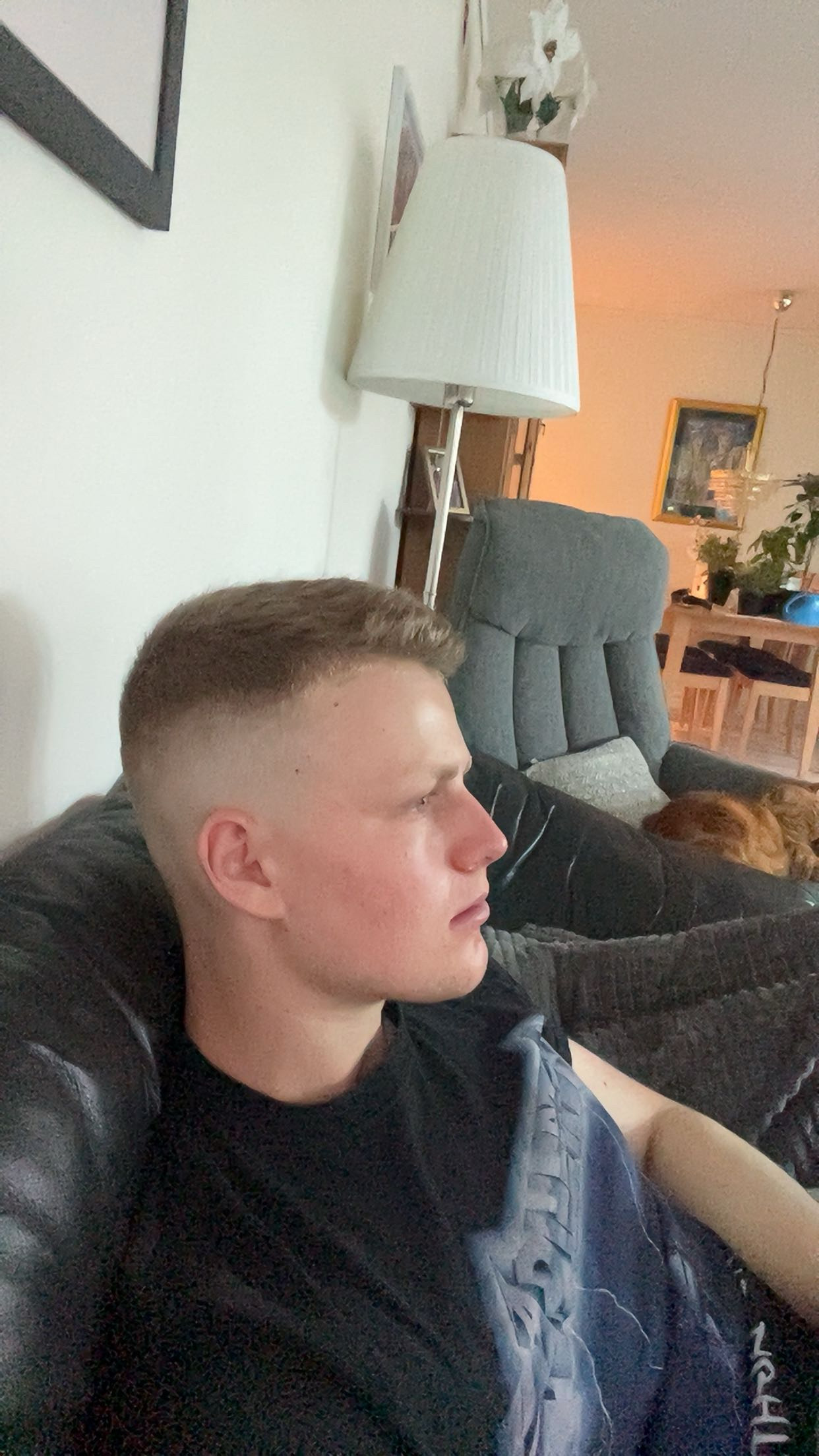 IMG 2249