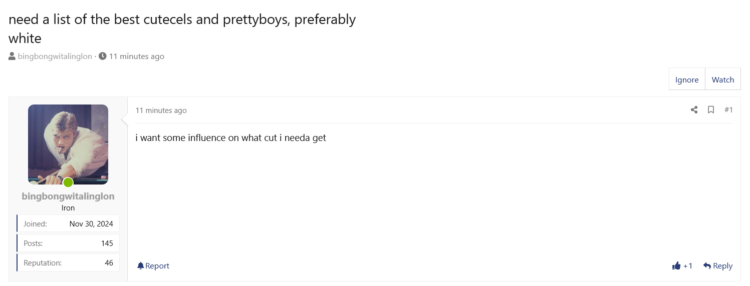 Screenshot 2025 07 13 at 08 07 52 need a list of the best cutecels and prettyboys preferably w