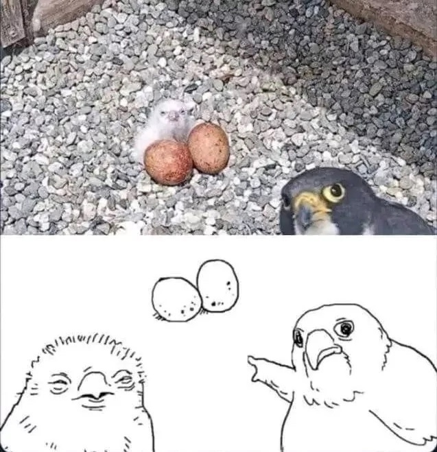 2CGMcFTCfwY
