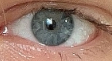 IMG 7730