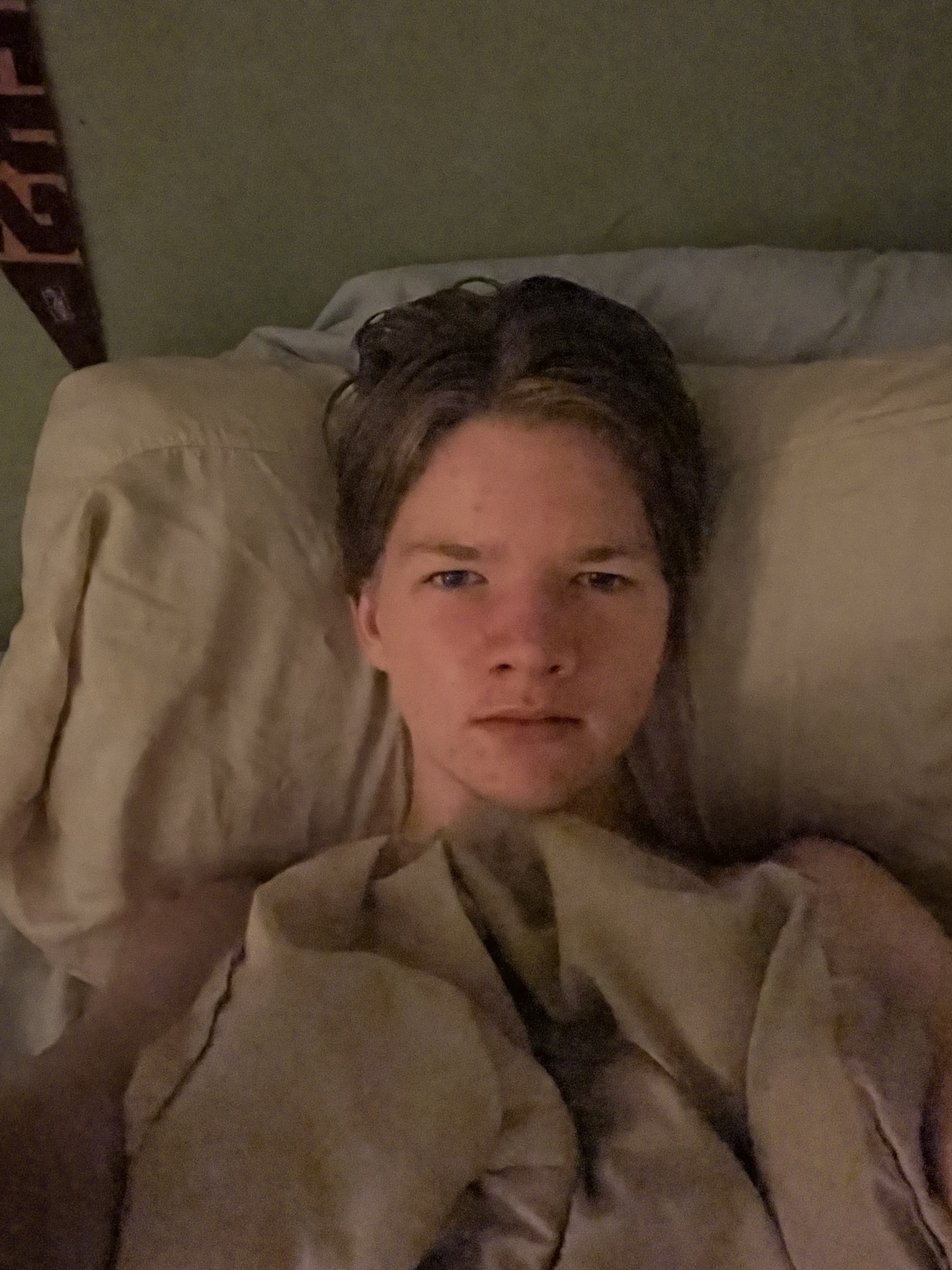 IMG 2974