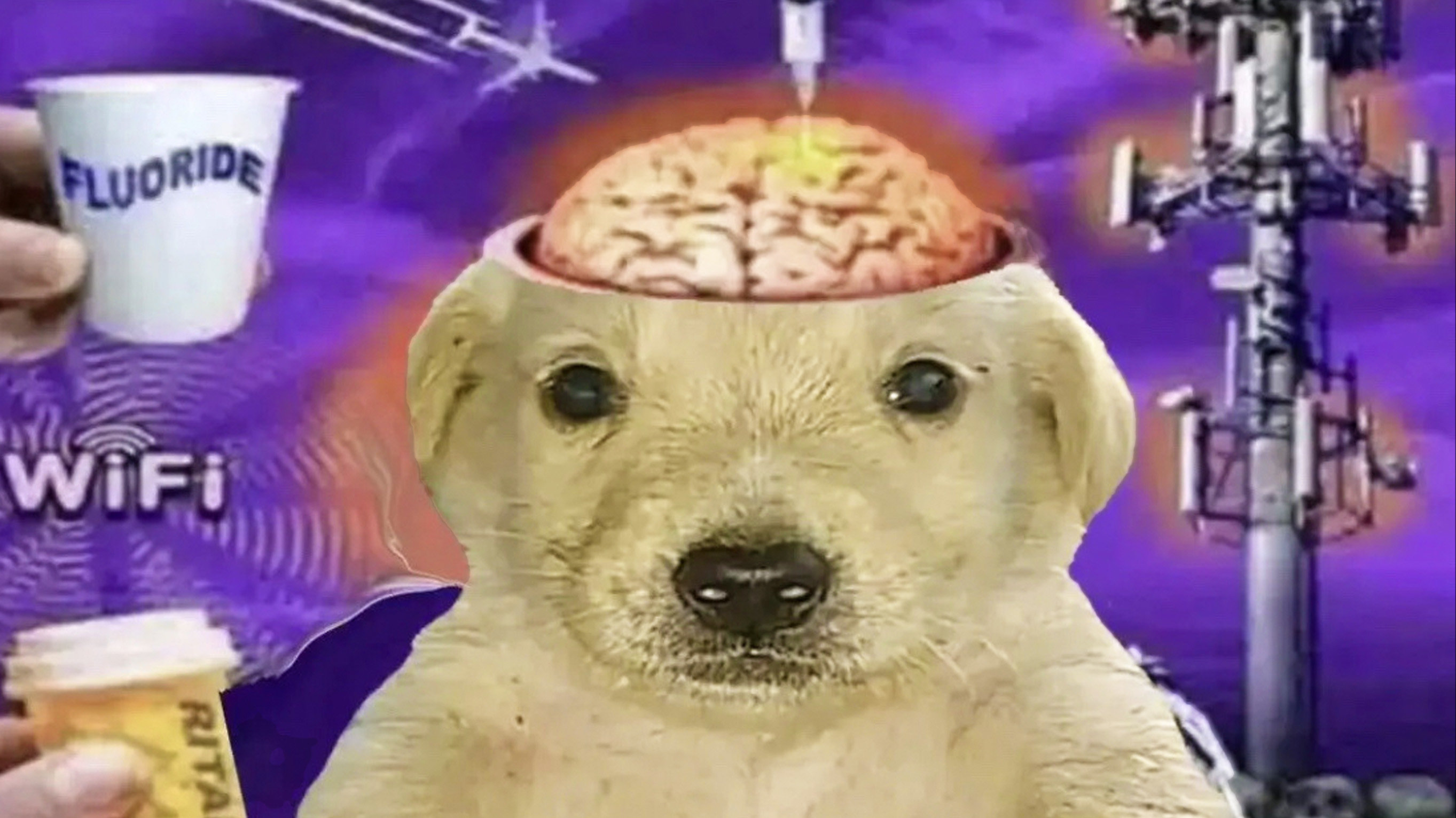 1000022305