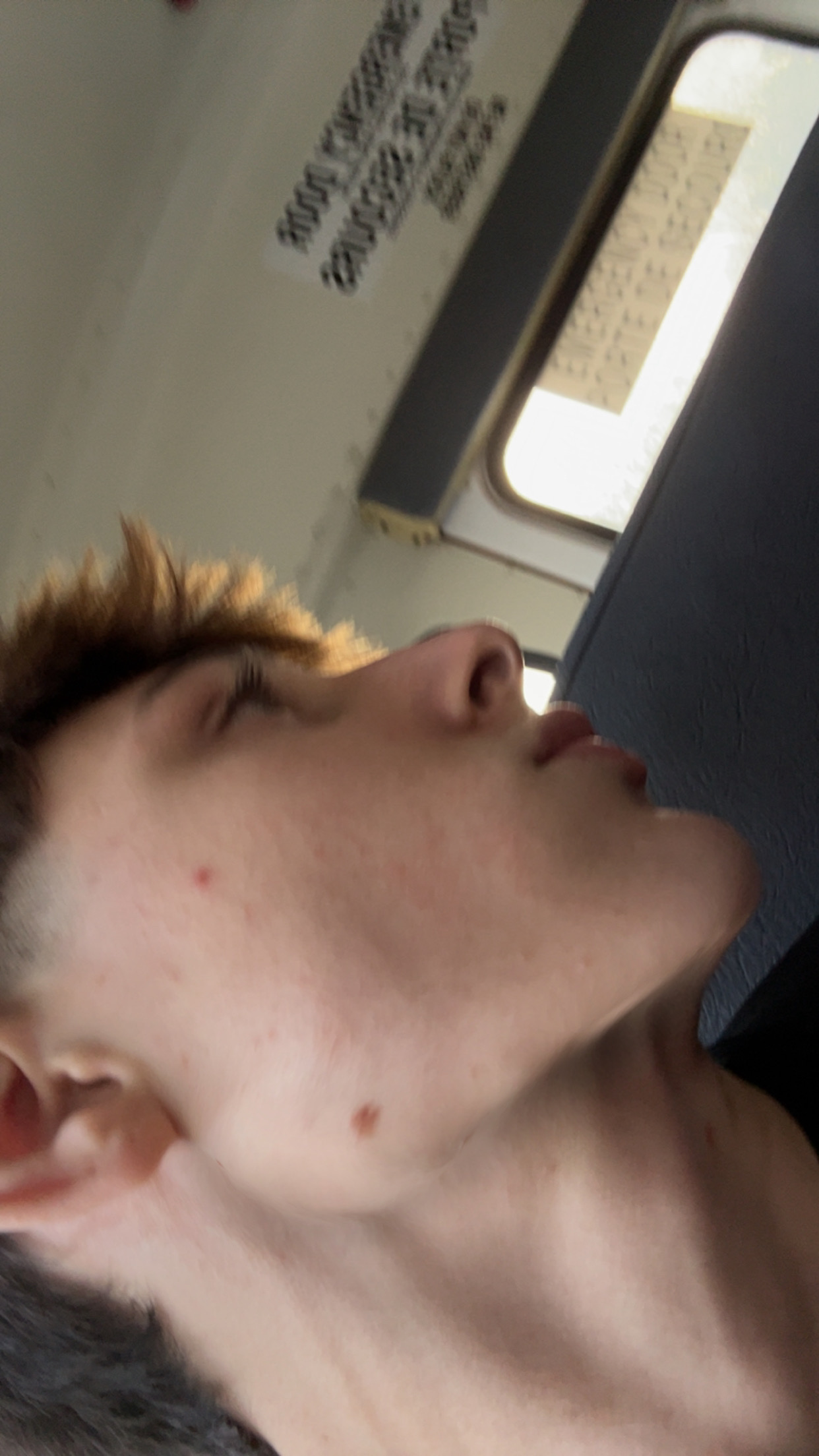 IMG 3673