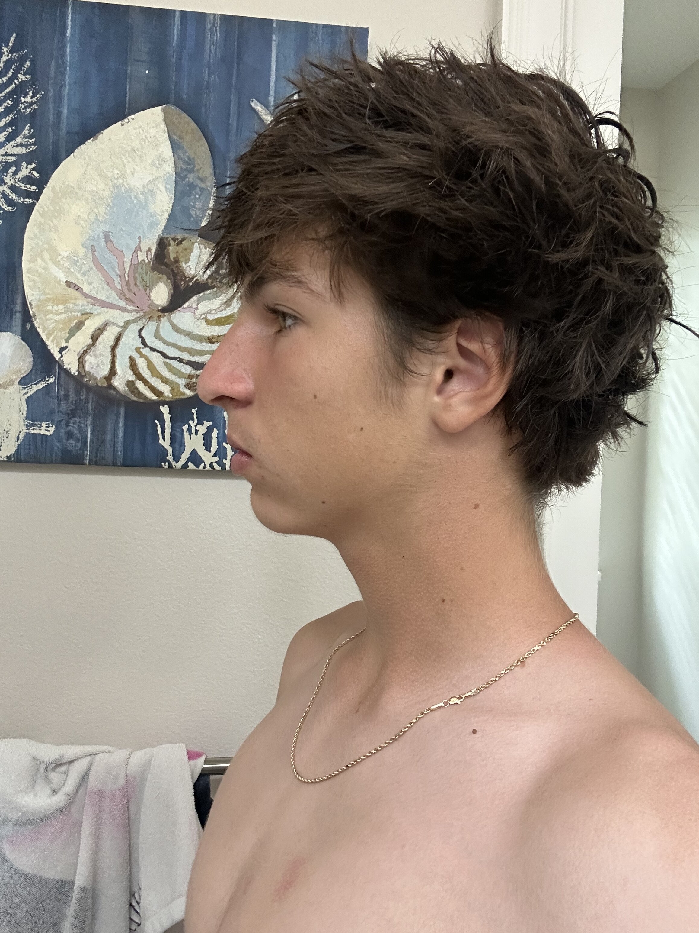 IMG 1790