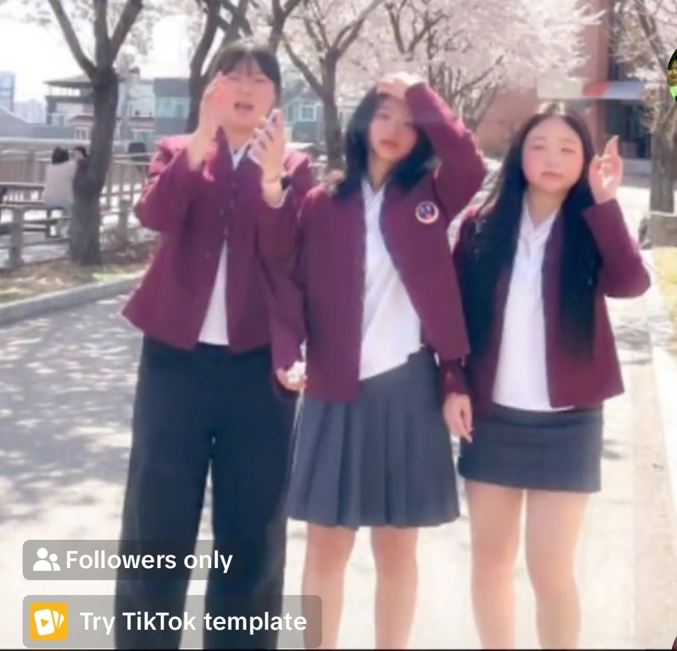 Screenshot 20250416 124717 TikTok