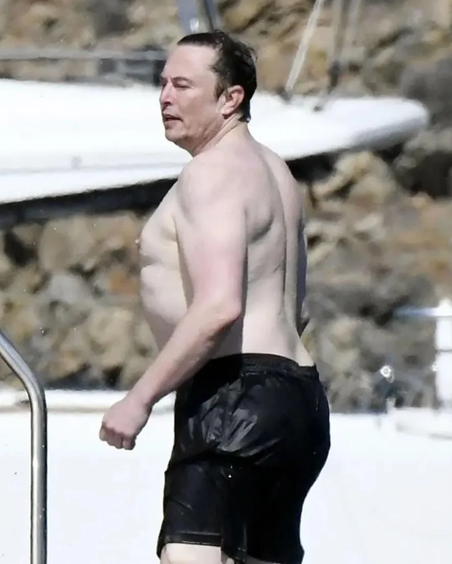 Musk has large rib bones v0 n0bx8yqkkgod1