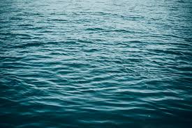 Images 10