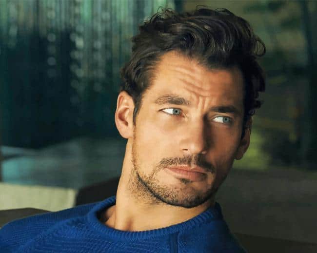 Male model david gandy beard paint by numbers Male model david gandy beard paint by numbers