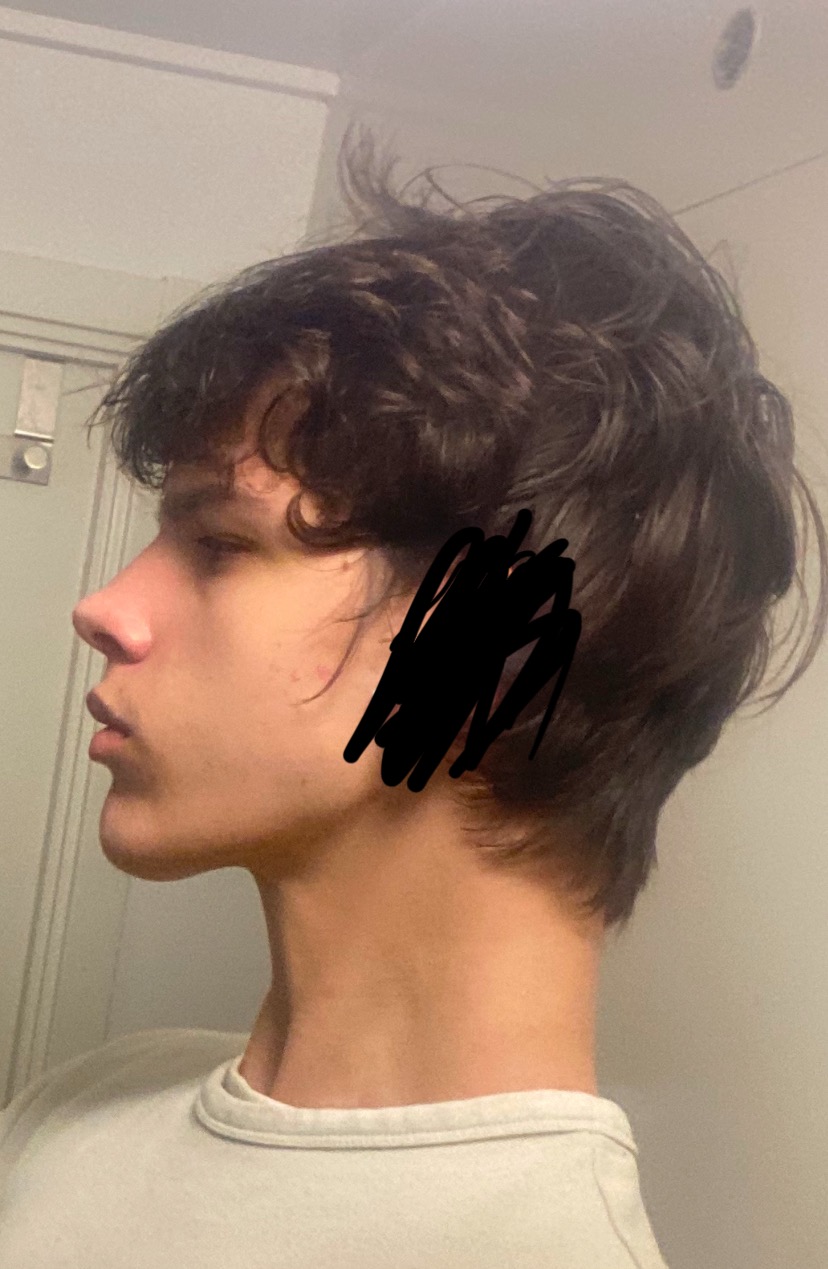 IMG 1221