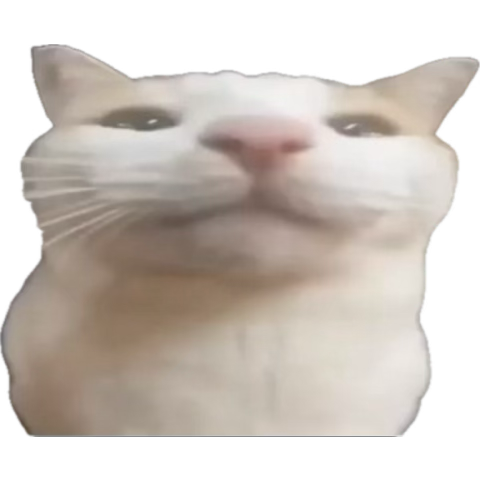 1752687440836