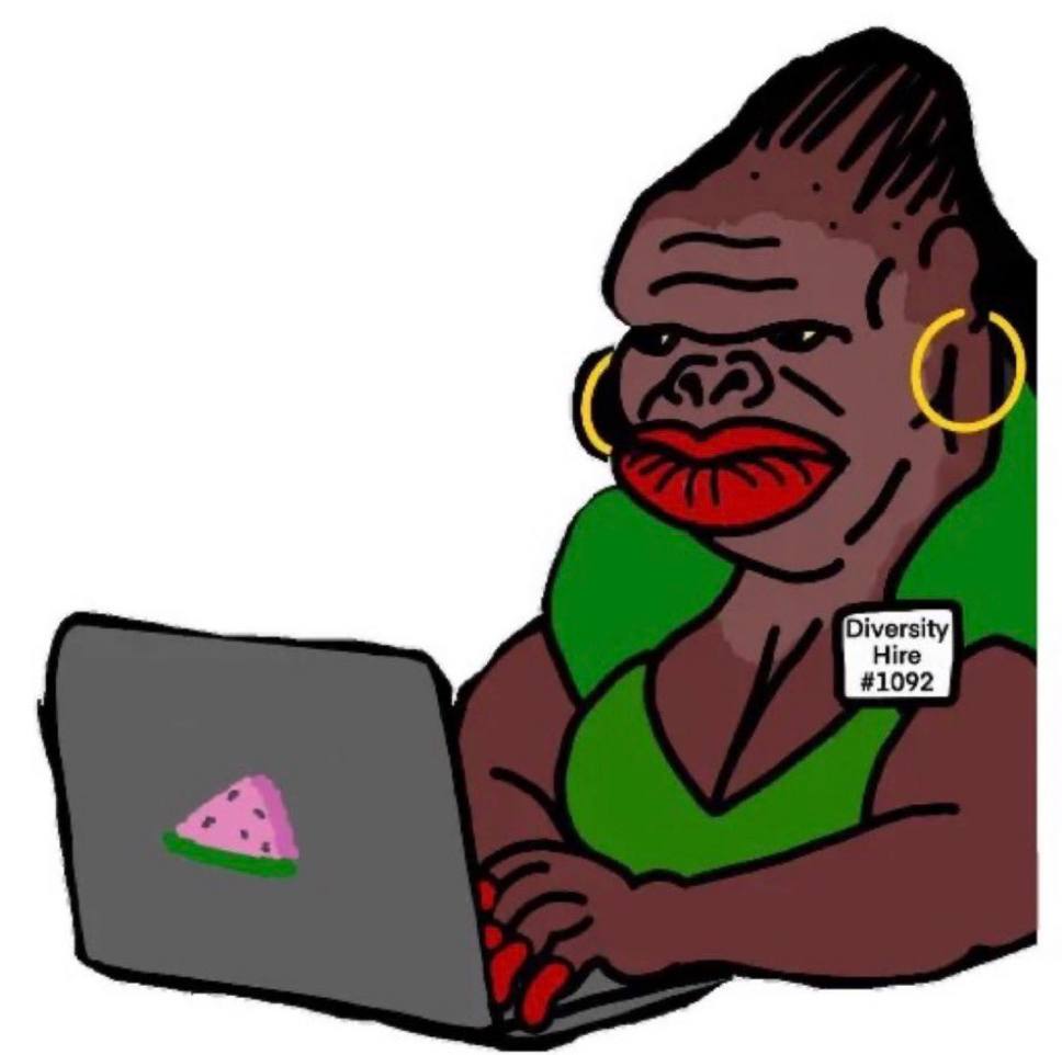 Diversity hire