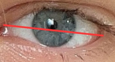 5147949 IMG 7730