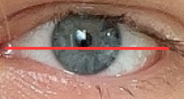 5147949 IMG 7730 1