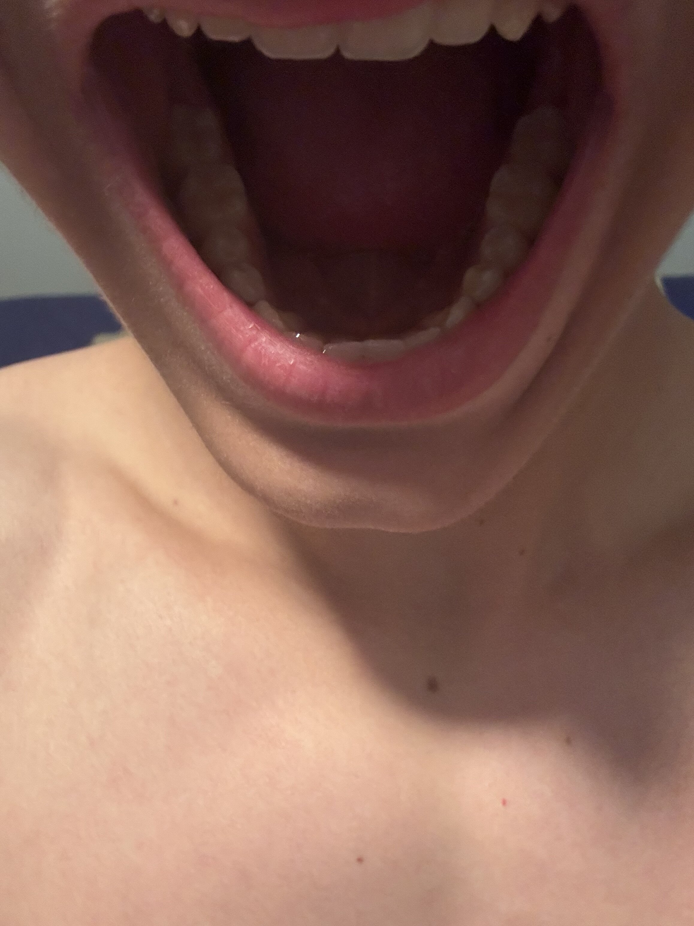 IMG 1341 IMG 1341