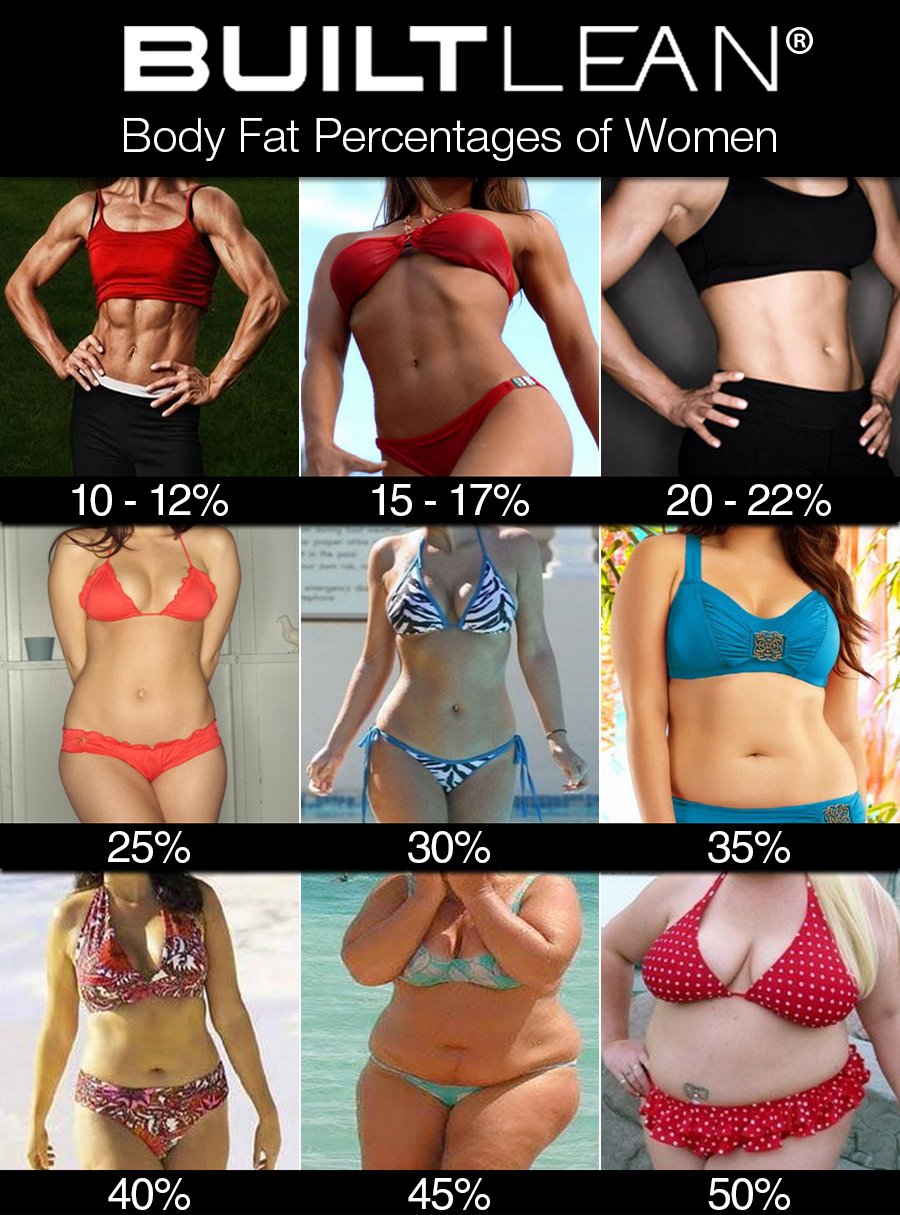 Body fat percentage women