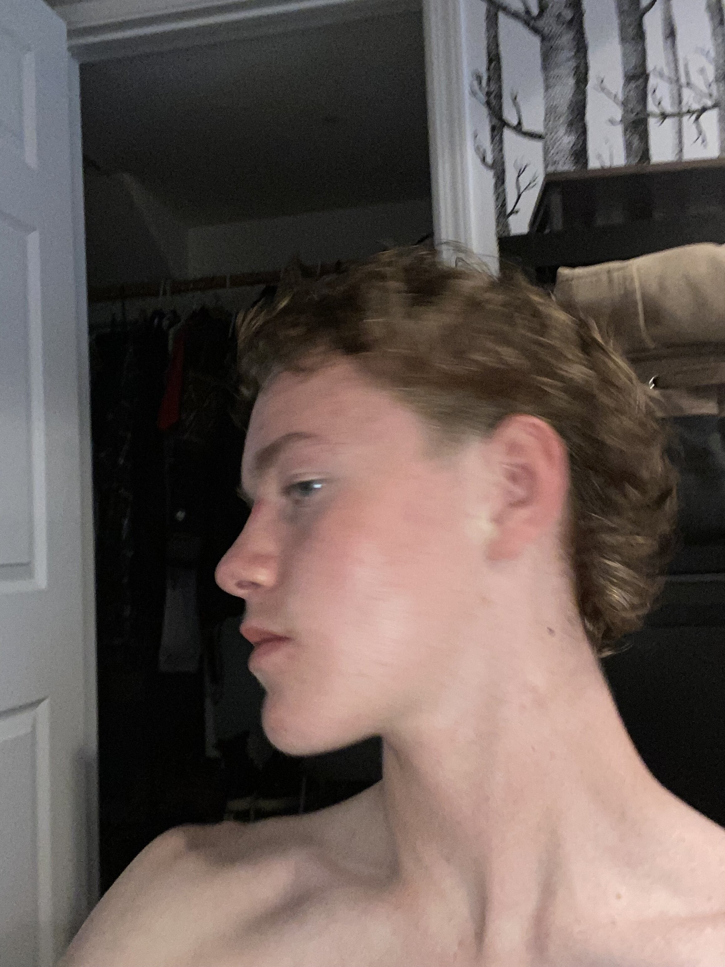 IMG 2467