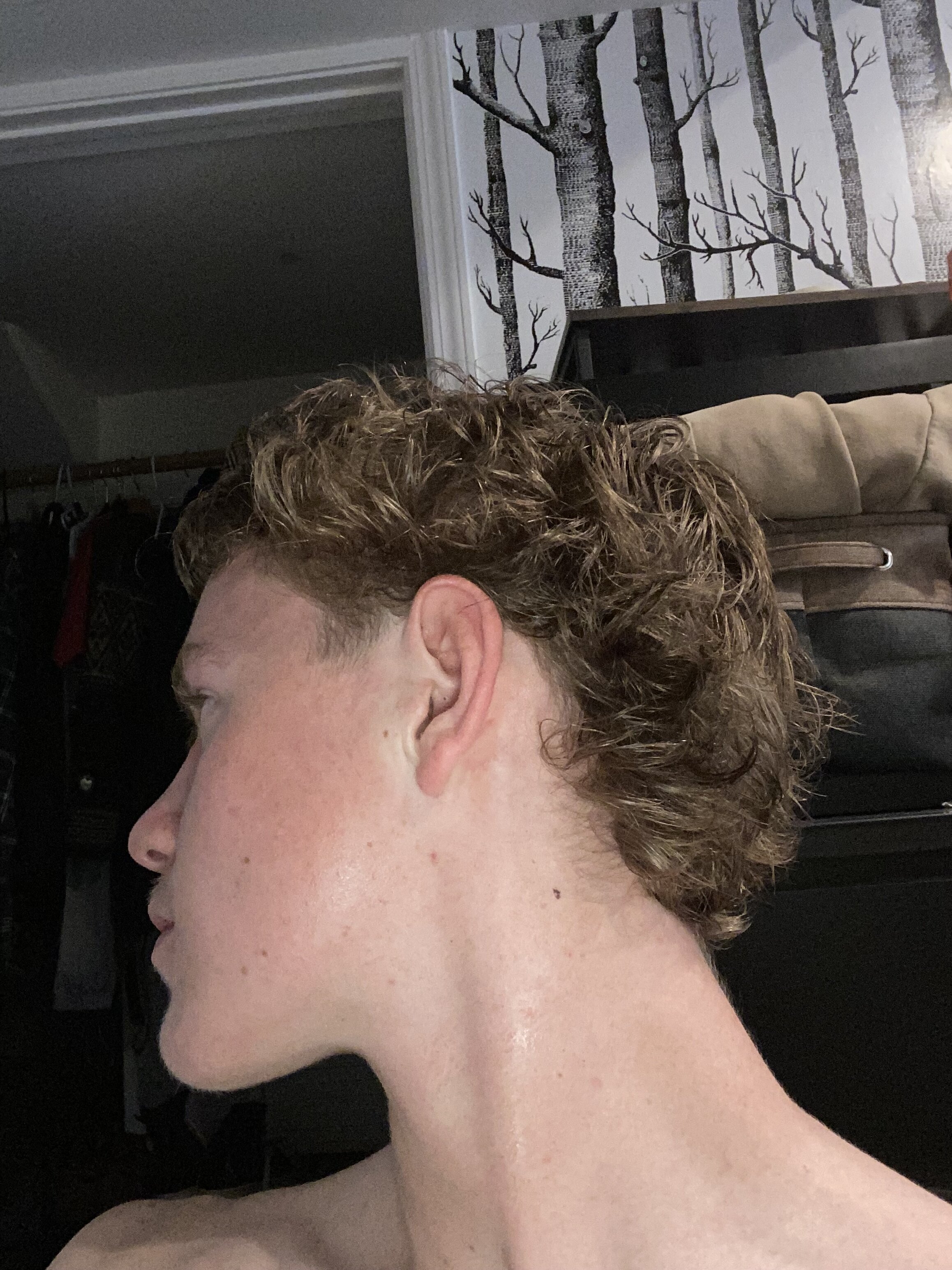 IMG 2468