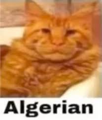 1752793485721