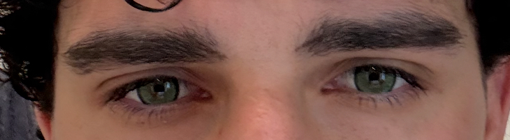 IMG 0690