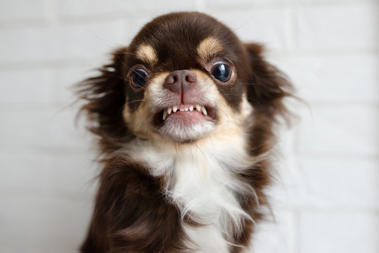 717