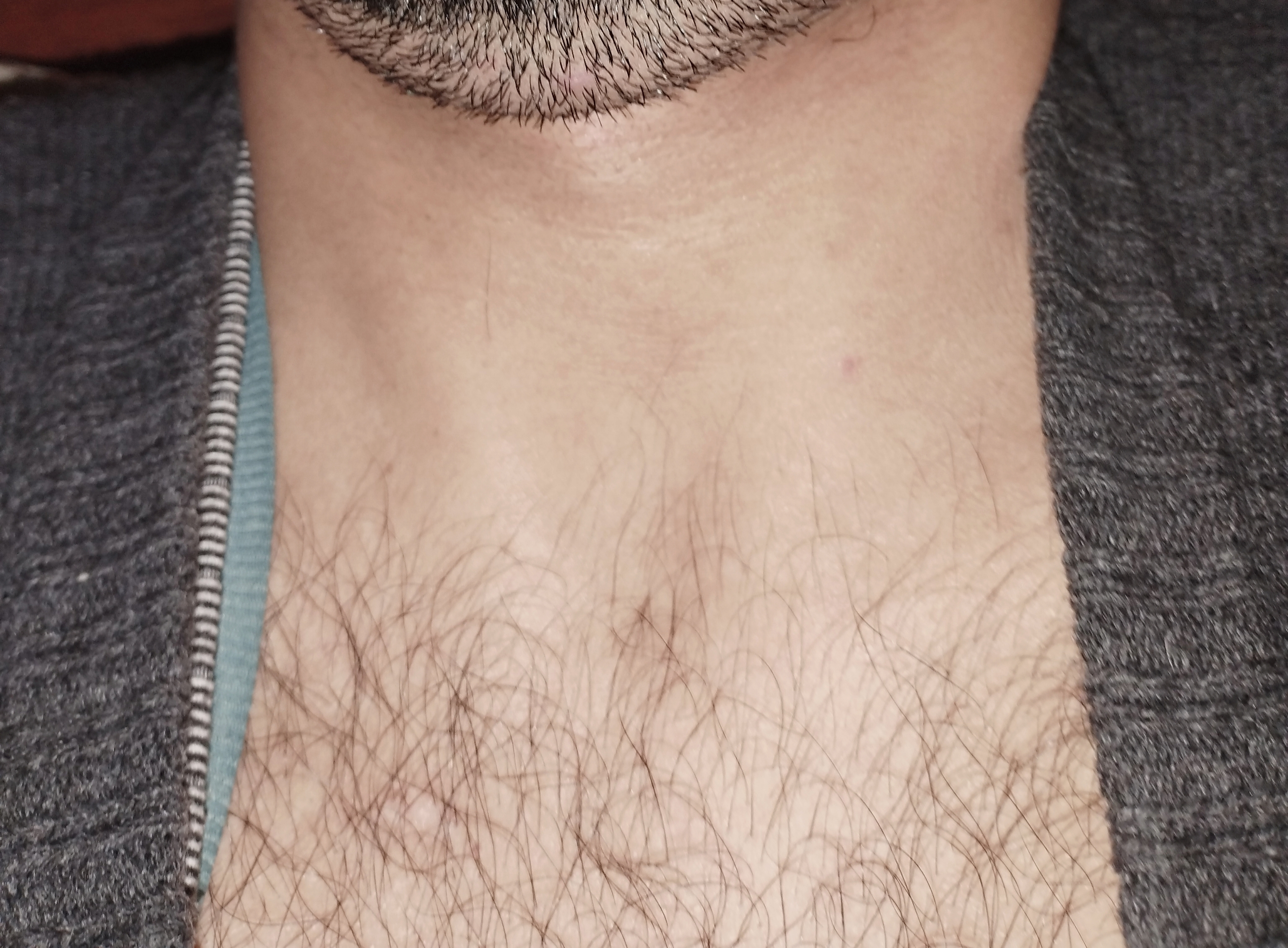 IMG 20250718 150241