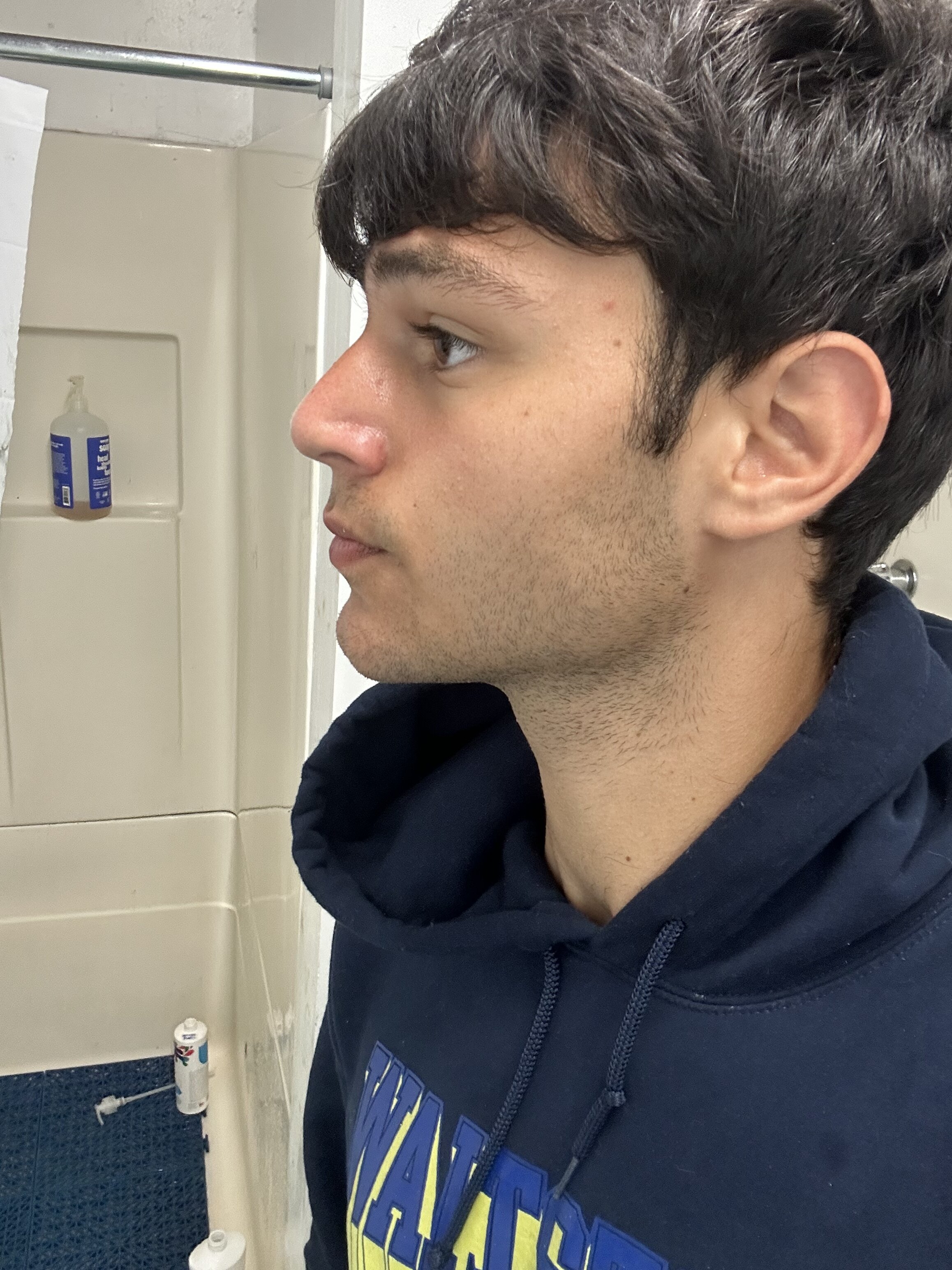 IMG 0558