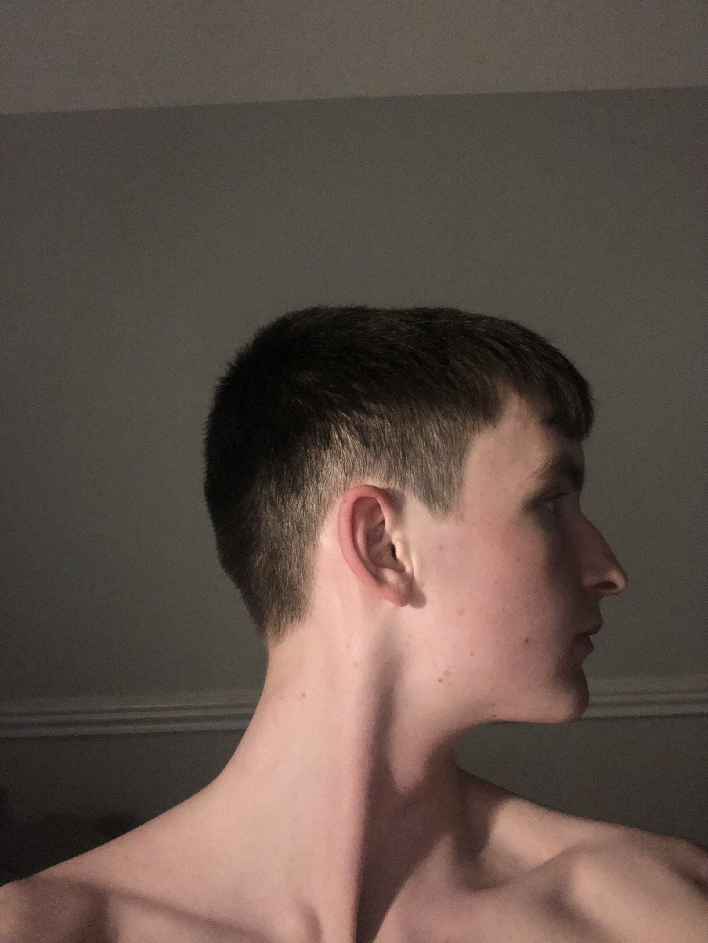 IMG 3605