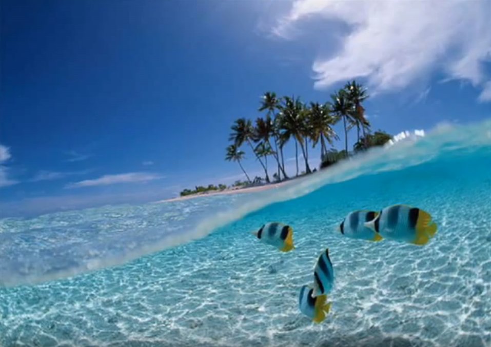 Island
