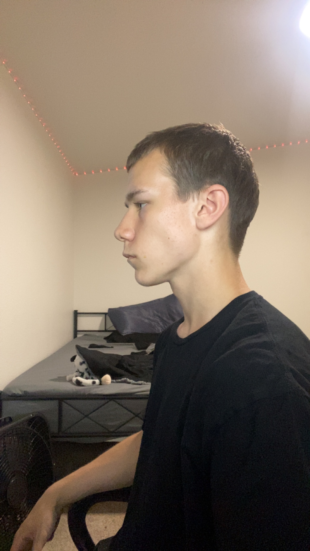 IMG 1952