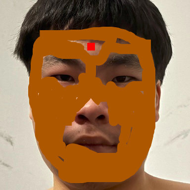 1752929219210