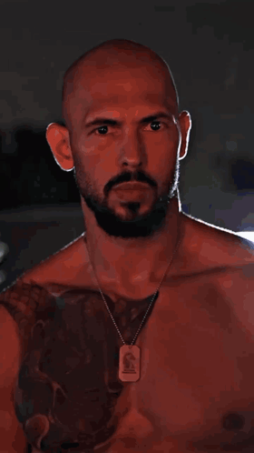 Andrew tate anger