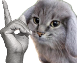 GUQkLAIXUAAL9jo
