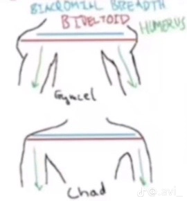 A53bdbb9f95c1de713c239063ad530fb