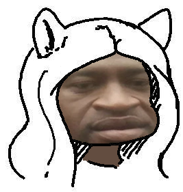 GeorgeDroydNegroid