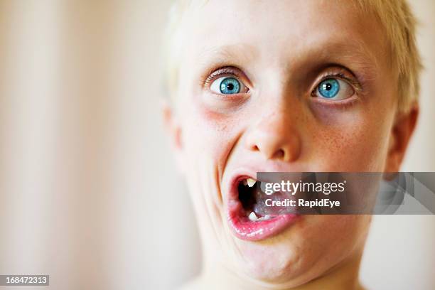 IMG 3654